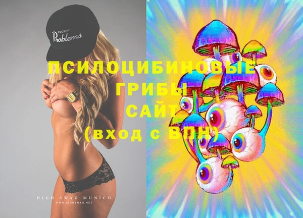 ГАЛЛЮЦИНОГЕННЫЕ ГРИБЫ Кулебаки