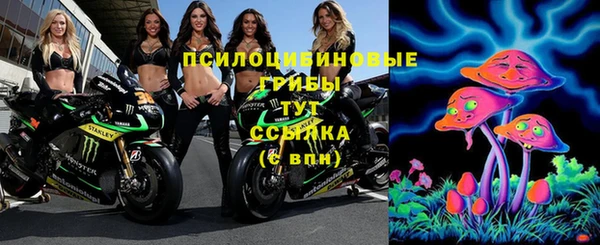 СК Лагань