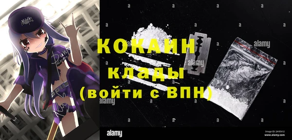 ГАЛЛЮЦИНОГЕННЫЕ ГРИБЫ Кулебаки